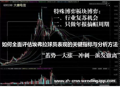如何全面评估埃弗拉球员表现的关键指标与分析方法