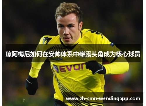 琼阿梅尼如何在安帅体系中崭露头角成为核心球员