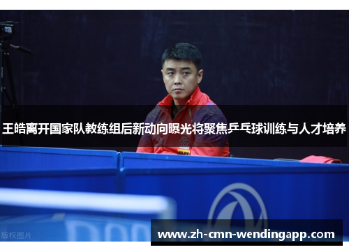 王皓离开国家队教练组后新动向曝光将聚焦乒乓球训练与人才培养